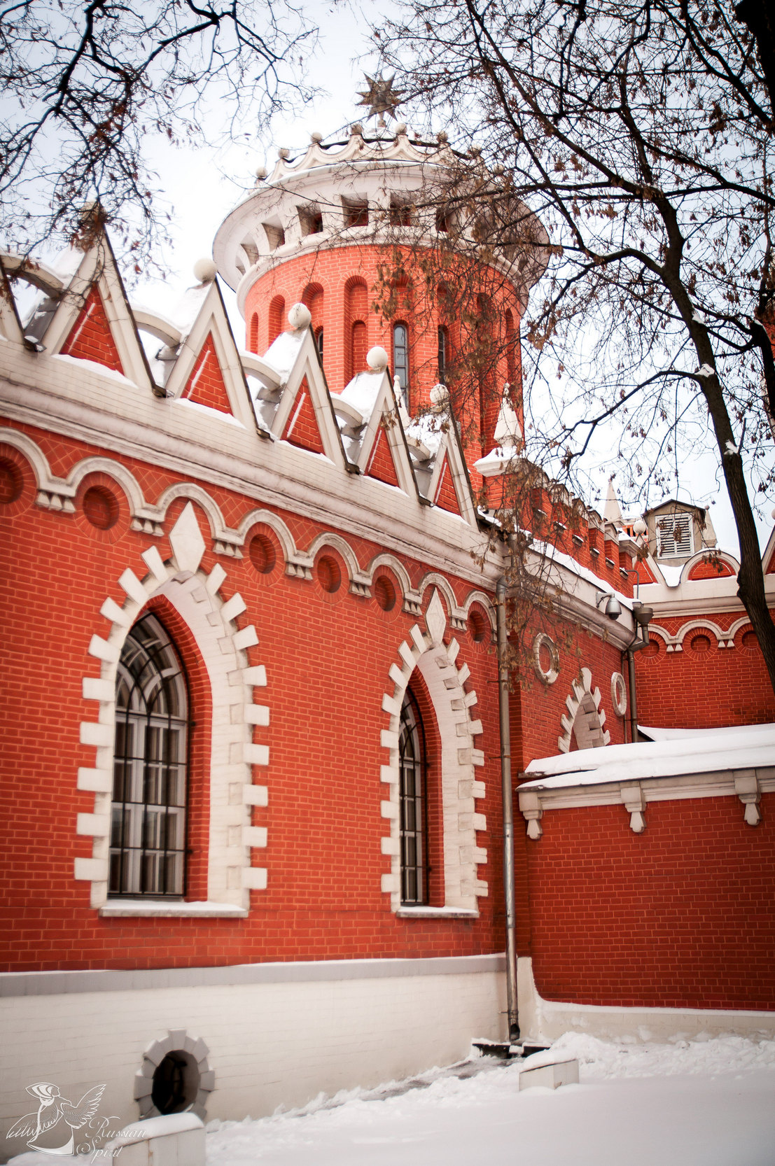 Petrovsky palace